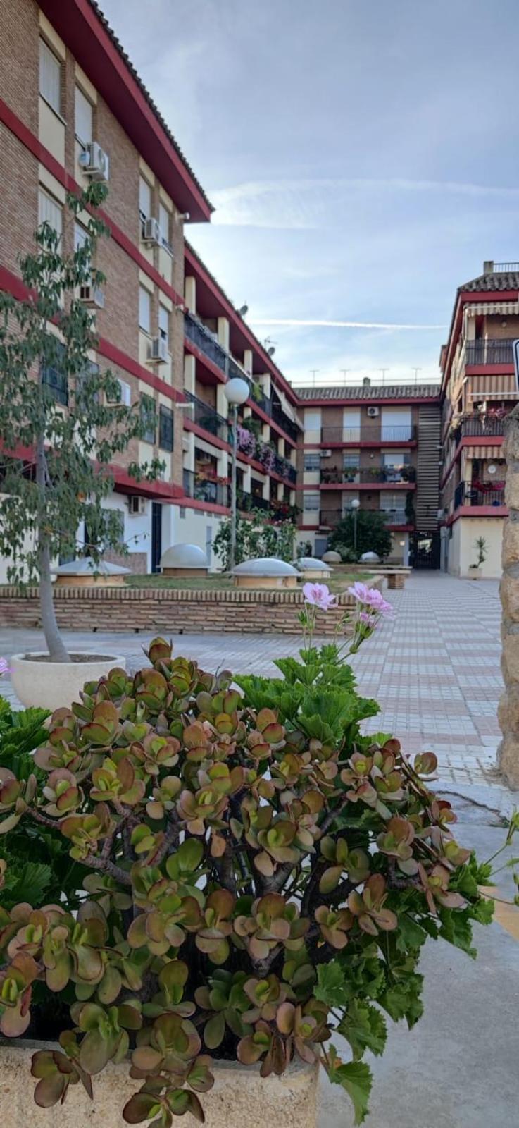 Loft A La Verita River, Parking Free Córdova Exterior foto